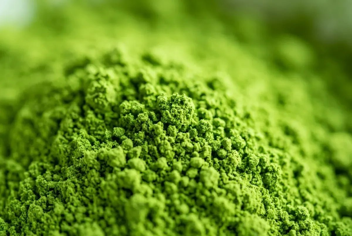 Leuchtend grünes Matcha-Pulver in Nahaufnahme