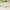 30 Tage Matcha Challenge - MatchaLand Deutschland