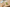 Aktionsbanner
