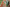 Aktionsbanner