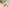 Aktionsbanner